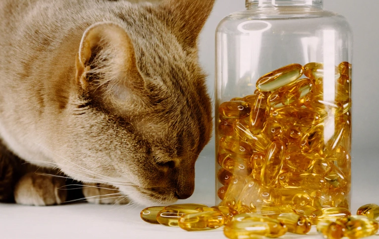omega 3 for cats
