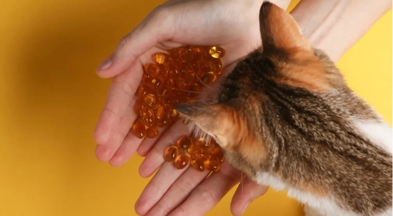 fish oil for cats benefits