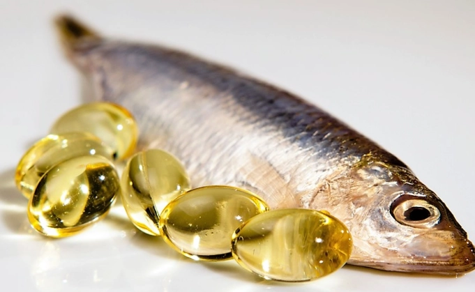 best fish oil cat food best fish oil cat food