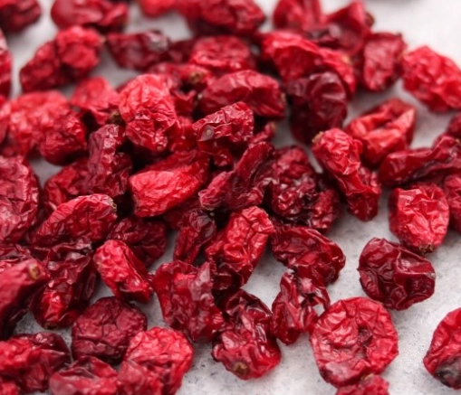 can cats eat dried cranberries can cats eat dried cranberries