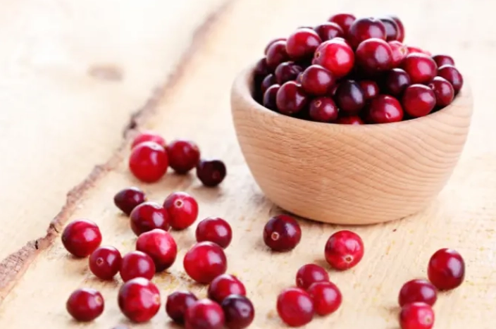 dried cranberries for cats dried cranberries for cats