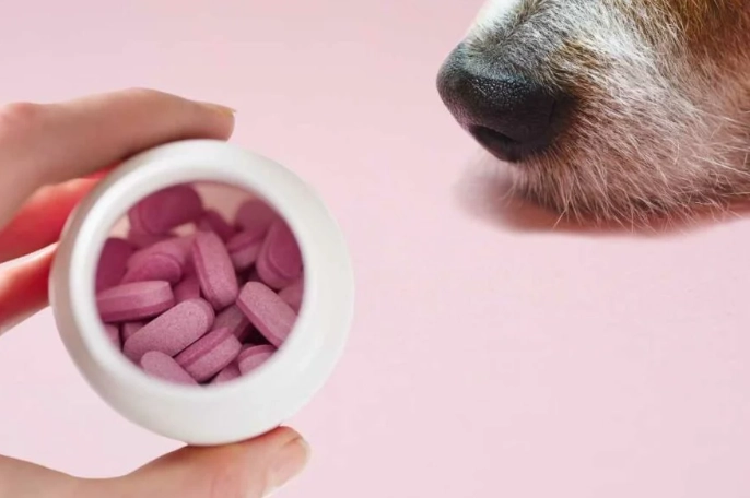 dog benadryl bee sting