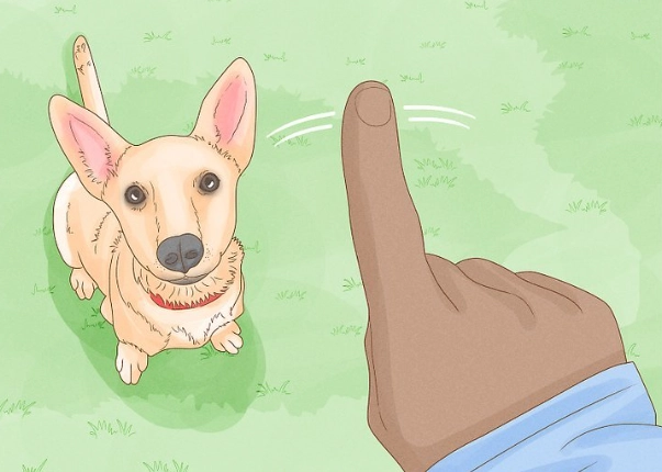 stop dog mounting stop dog mounting