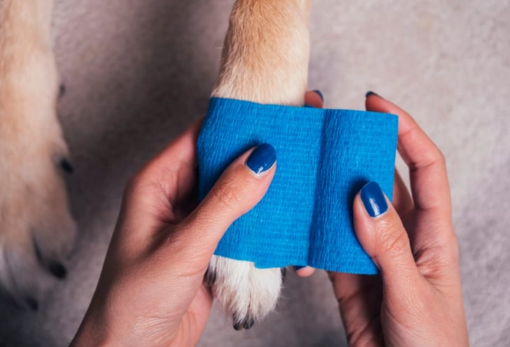 hydrogen peroxide for dogs wounds