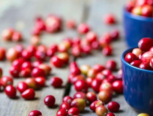 is cranberry juice safe for cats