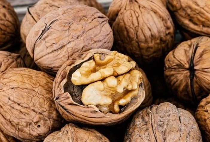 are walnut shells toxic to cats