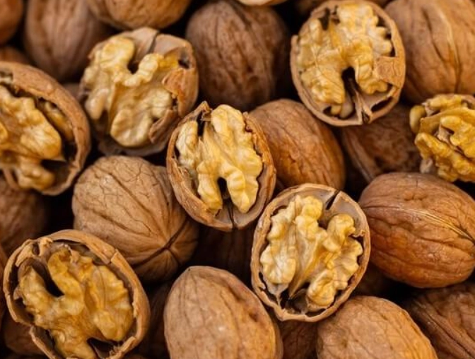 are walnuts safe for cats