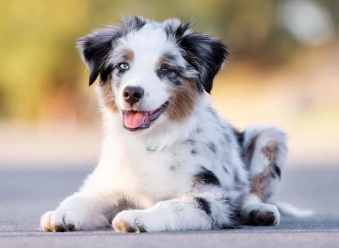 treating mild heat stroke at home treating mild heat stroke at home