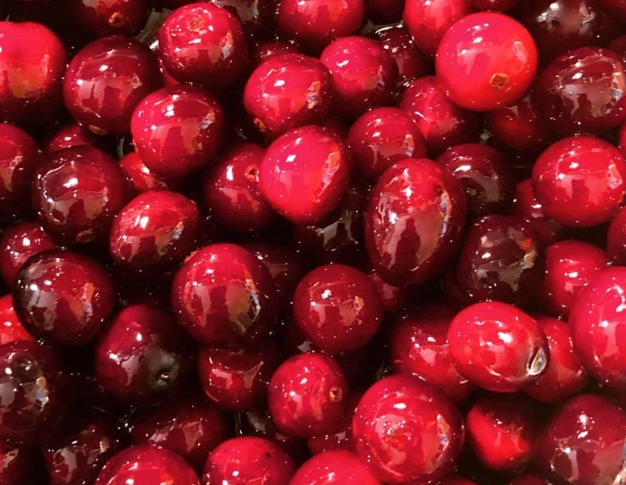 are cranberries safe for cats are cranberries safe for cats