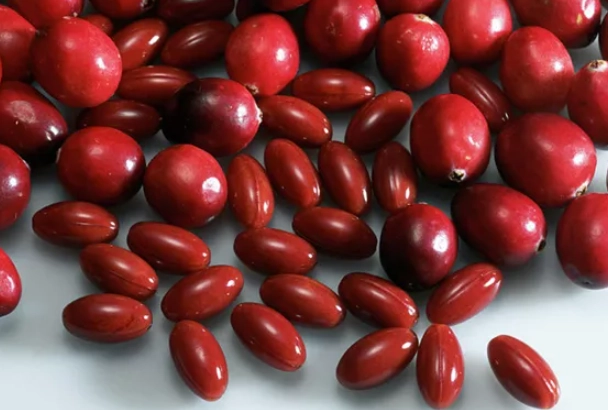 cranberry pills for cats cranberry pills for cats