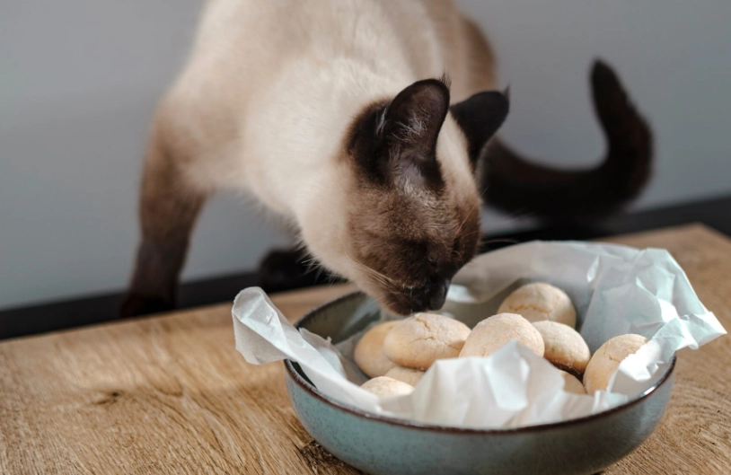 Are cranberries toxic to pets?