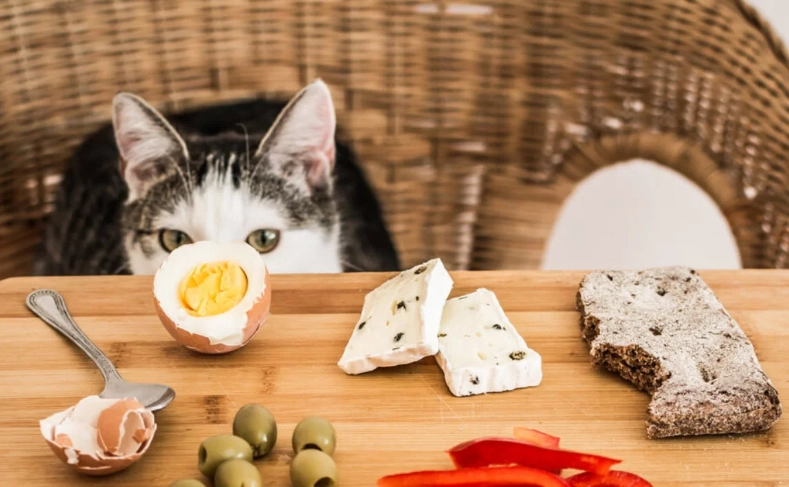 cranberries toxic to dogs cranberries toxic to dogs