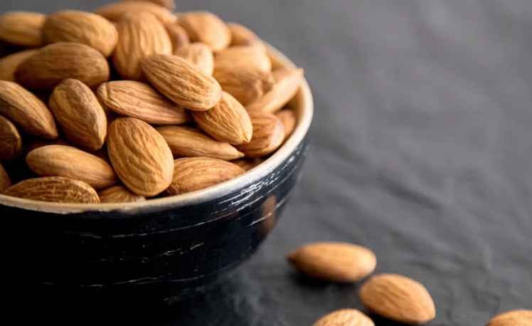 can dogs eat almonds can dogs eat almonds