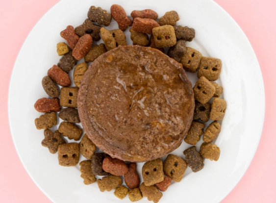 what to feed a dog with diarrhea