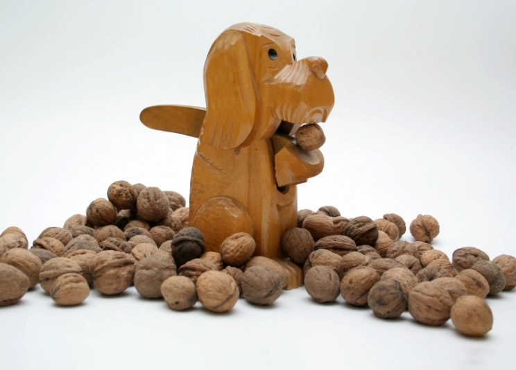 toxic nuts for dogs