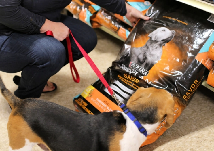 what not to feed dogs