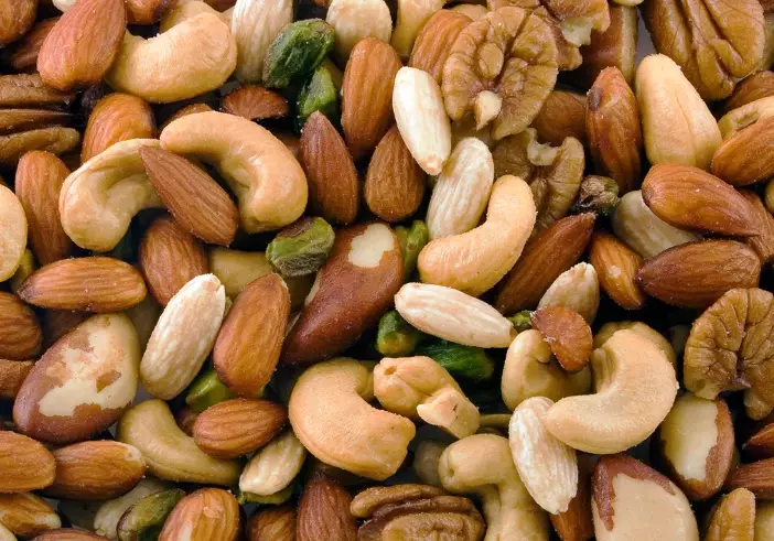 what nuts can dogs eat