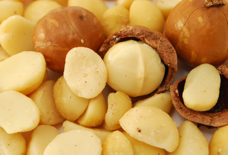 what nuts can dogs eat