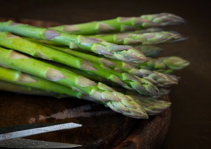 asparagus for cats asparagus for cats
