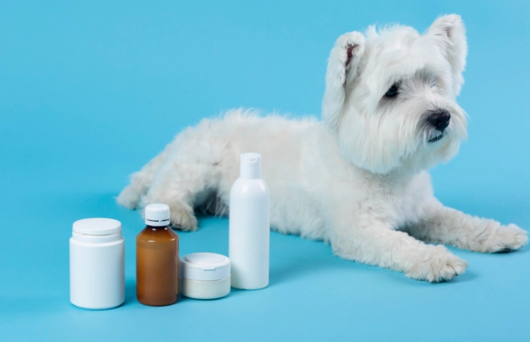hydrogen peroxide for dogs