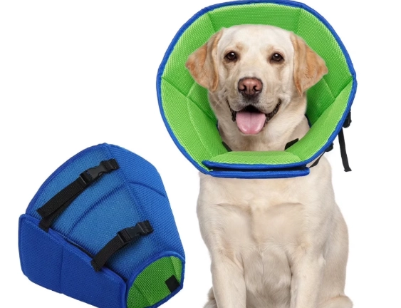 What is the alternative to a cone for a dog's neck injury?