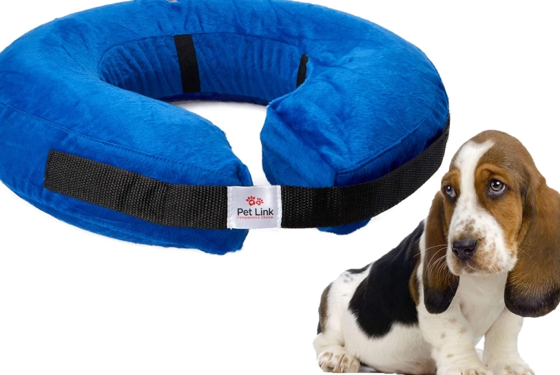 how to put on dog cone