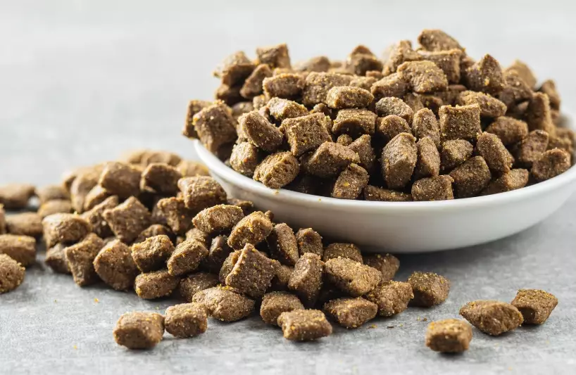 how much dry food to feed a cat