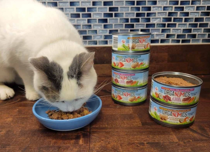 dry cat food amount per day