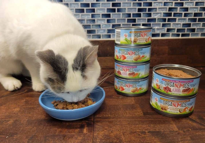 how much to feed a cat