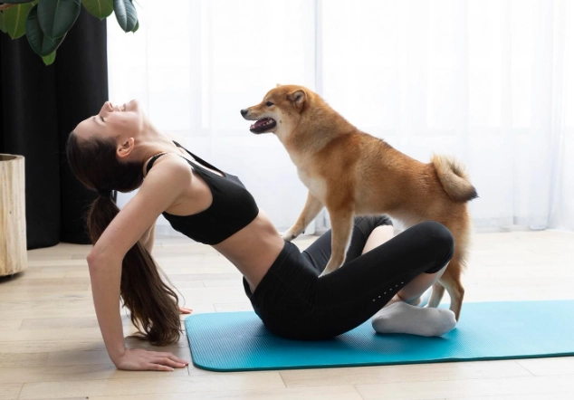 stop dog mounting behavior