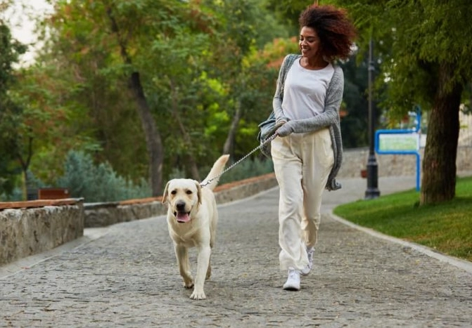 how to stop female dog from humping