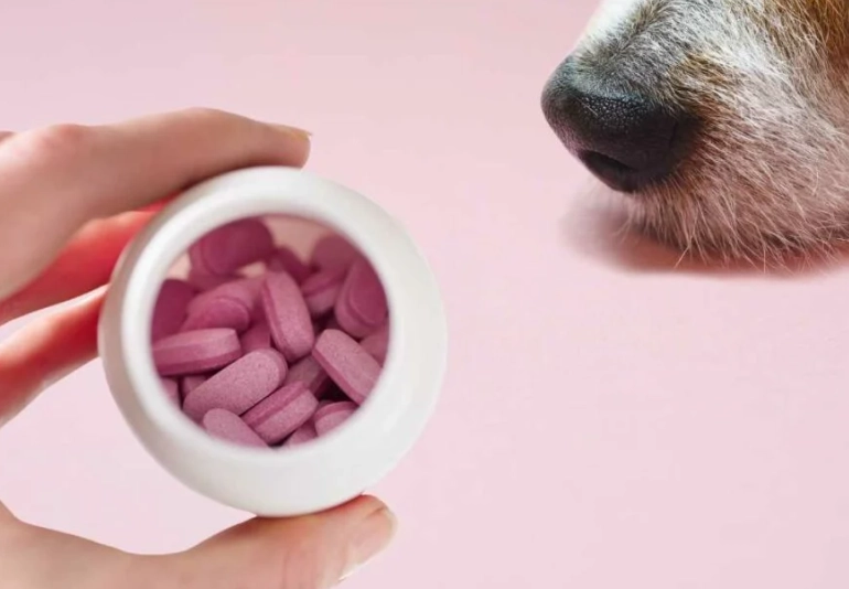 Benadryl dosage for dogs bee sting