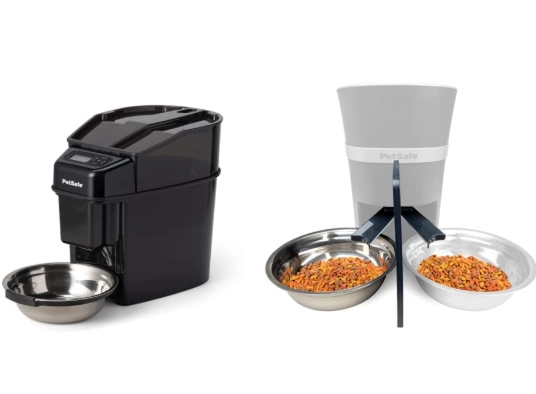 cat daily food amount cat daily food amount