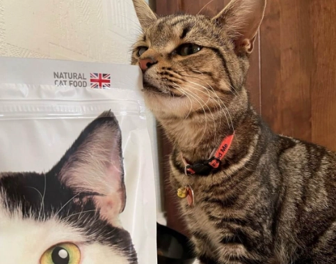 how much to feed a cat per day how much to feed a cat per day