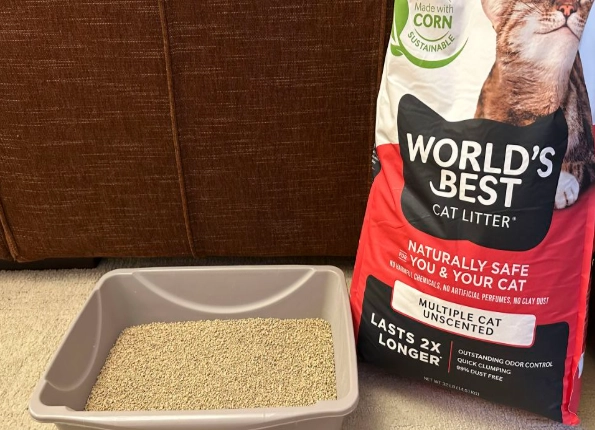 best cat litter