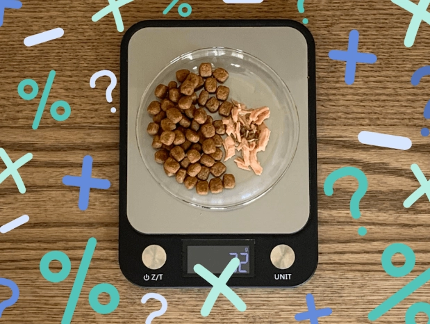 cat daily food amount cat daily food amount