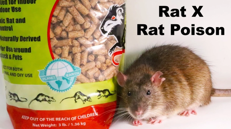 non-toxic rat poison