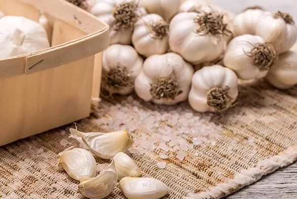 dog safe seasonings dog safe seasonings