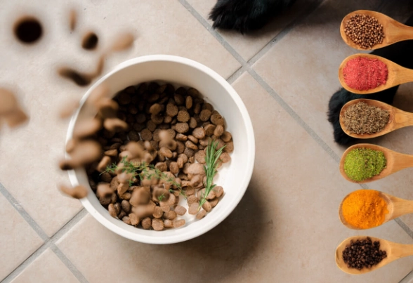 dog safe seasonings dog safe seasonings