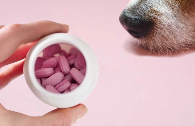 dog allergy medicine dog allergy medicine