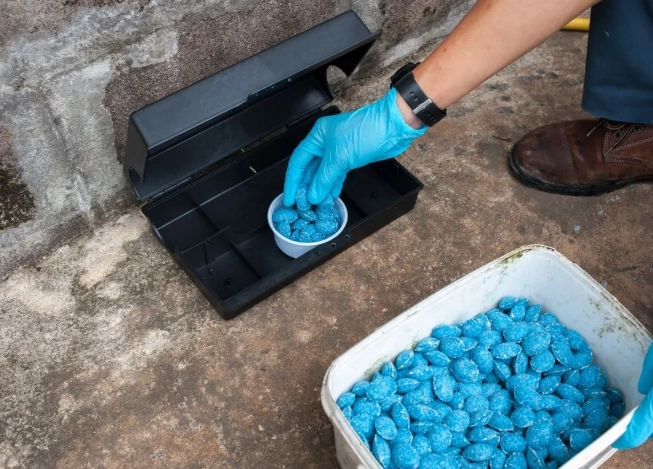 how to get rid of rats without harming pets