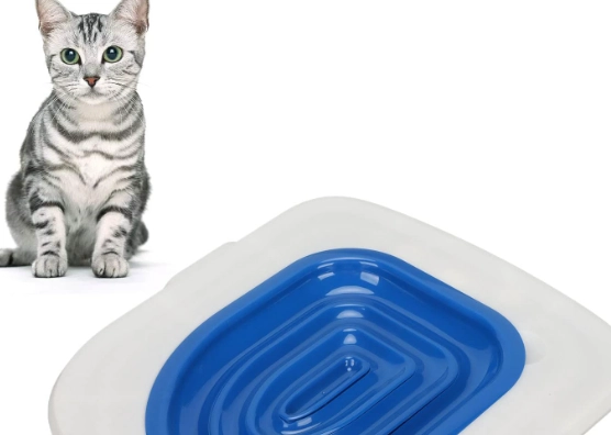 how to toilet train a cat how to toilet train a cat