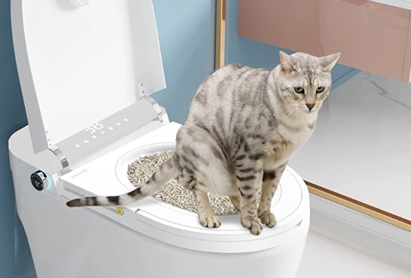 cat toilet training cat toilet training