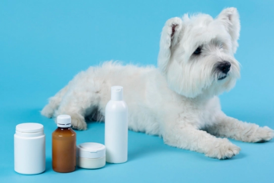 is hydrogen peroxide safe for dogs