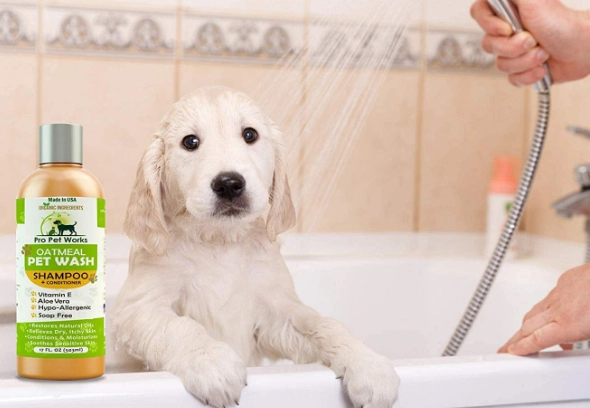 best dog shampoo for sensitive skin