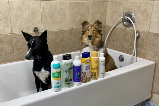 best dog shampoo for sensitive skin