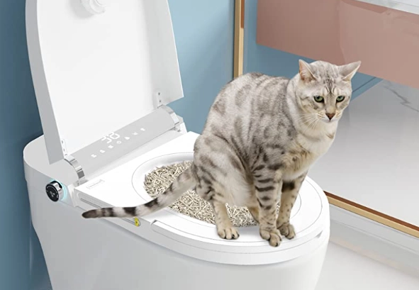 how to train cat to use toilet