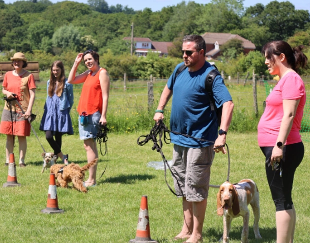 dog socialisation training near me