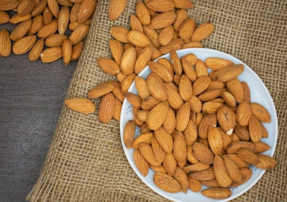 are nuts safe for dogs