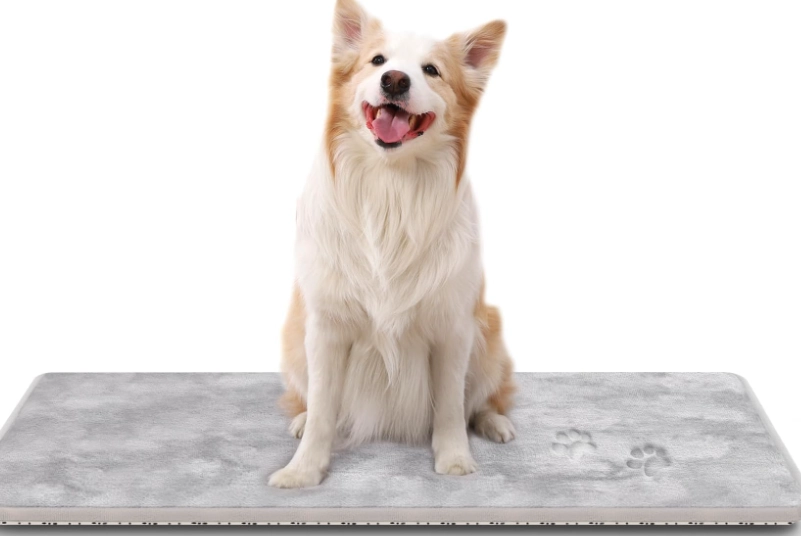 washable dog bed liner